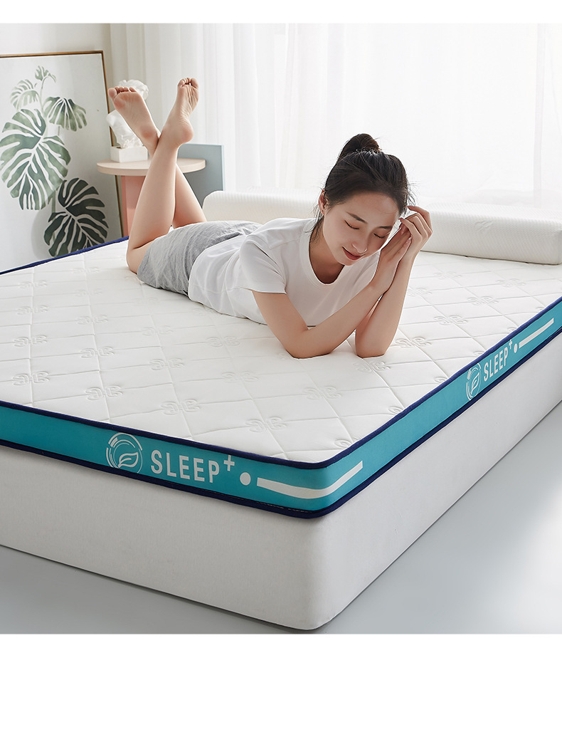 慕棉眠 乳胶床垫榻榻米垫子加厚家用记忆棉软床垫