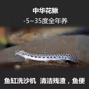 ���A���q �ԼS����~ ԭ���~ ��ˮ�坍�~ ����� ��ˮ�~ ϴɳ��