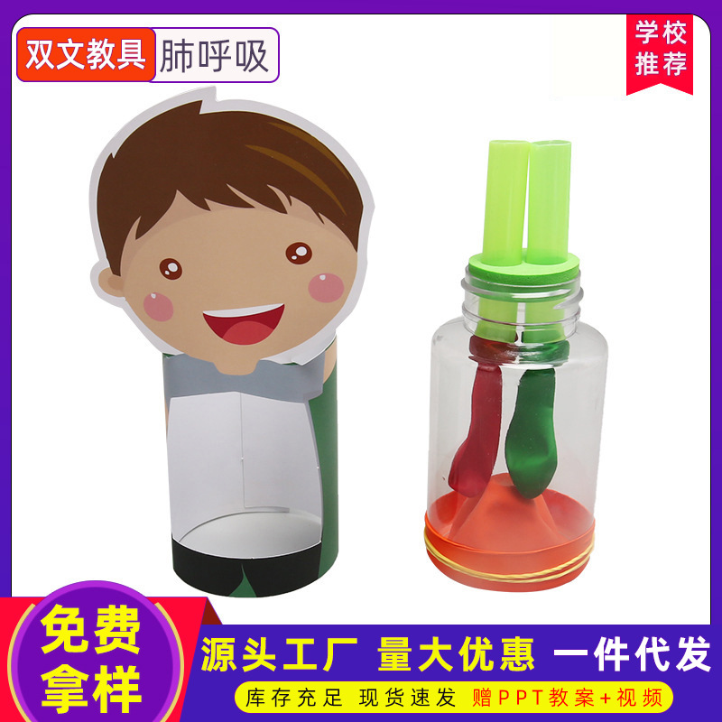 Lung Respiración cognición humana Escuela Primaria estudiante Ciencia y Tecnología pequeña producción niños hechos a mano diversión DIY Ciencia pequeños materiales experimentales
