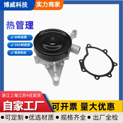Suitable for Jaguar Water Pump Xr858919, C2C38862, Xr858368, Xr85136, Aj84817