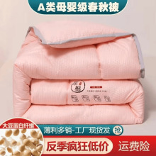 春秋故事加厚保暖原绵大豆被春秋冬天被子单双人宿舍被褥芯冬被