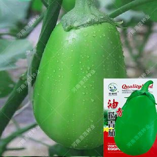 �G���ѷN�Ӯa�ļ��������ӾG�����L���шA�������r�ҾGƤ�߲˷N��