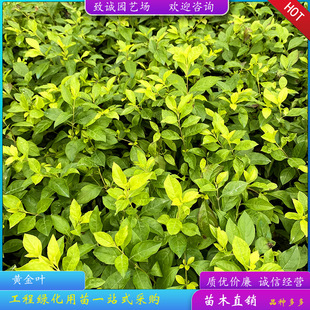 �S���~�S��÷�S��÷���~���B�N�ر�����G���@���҃����ԏS��ֱ�N