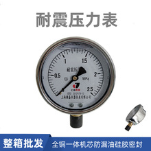 ����������YN-100����Һ���͸߉�0-1.0-1.6-2.5-6-40mpa����߉�