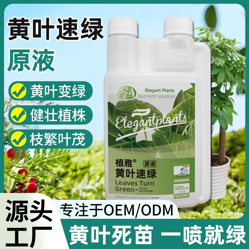黄叶速绿原液植物通用型家庭园艺促生长营养液改善黄叶温和不伤根|undefined
