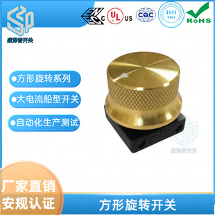 SZP��������3�n�����{�����D�_�PA4F03�o���䌍�Ľ��X���o�_�P