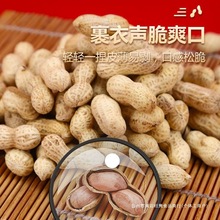 陈皮花生广东龙岩花生坚果零食KTV炒货新会陈皮花生 带壳熟