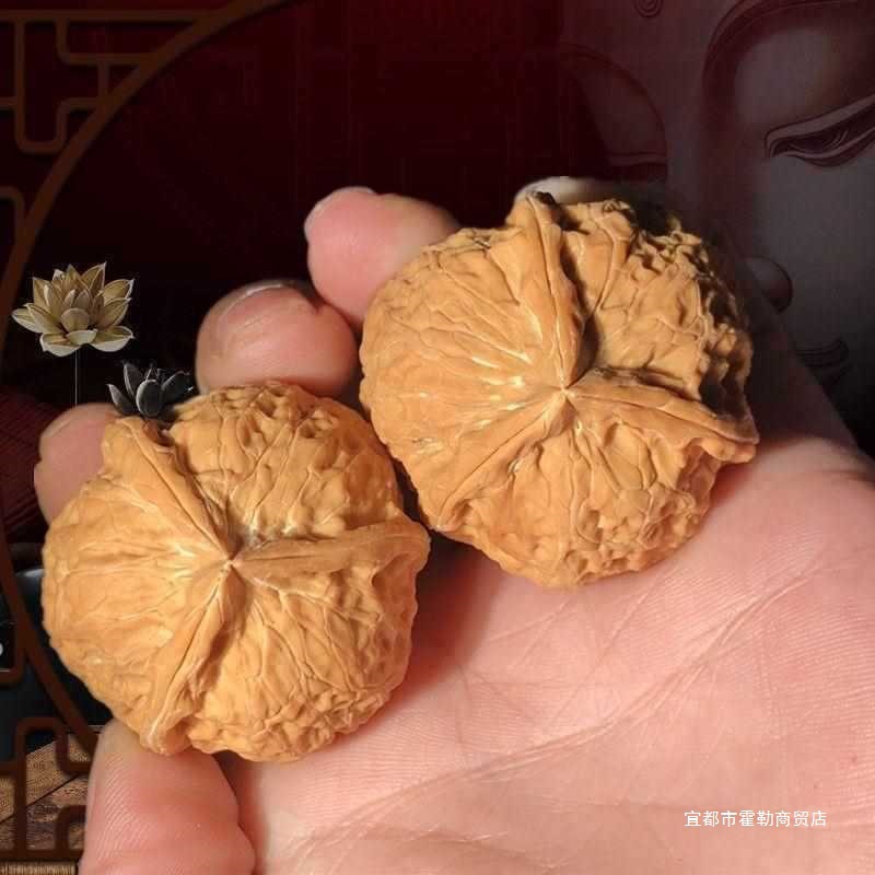 文玩野外生云铁核桃老树正奔三棱狮子头三道筋上色快手盘礼物霍勒