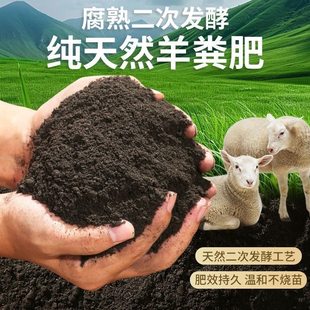 ����S�ЙC�ʷN���N�˹����߲˻��ܰl����S�ʈ@ˇ�Nֲ�ЙC����