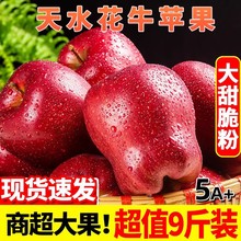 CˮţOrˮt߹ЋDOlһl