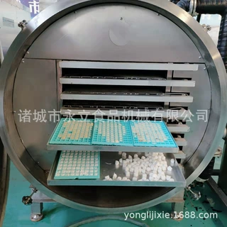 全自动水果蔬菜腌制牛肉真空冷冻干燥机 柠檬片冻干流水线脱水机