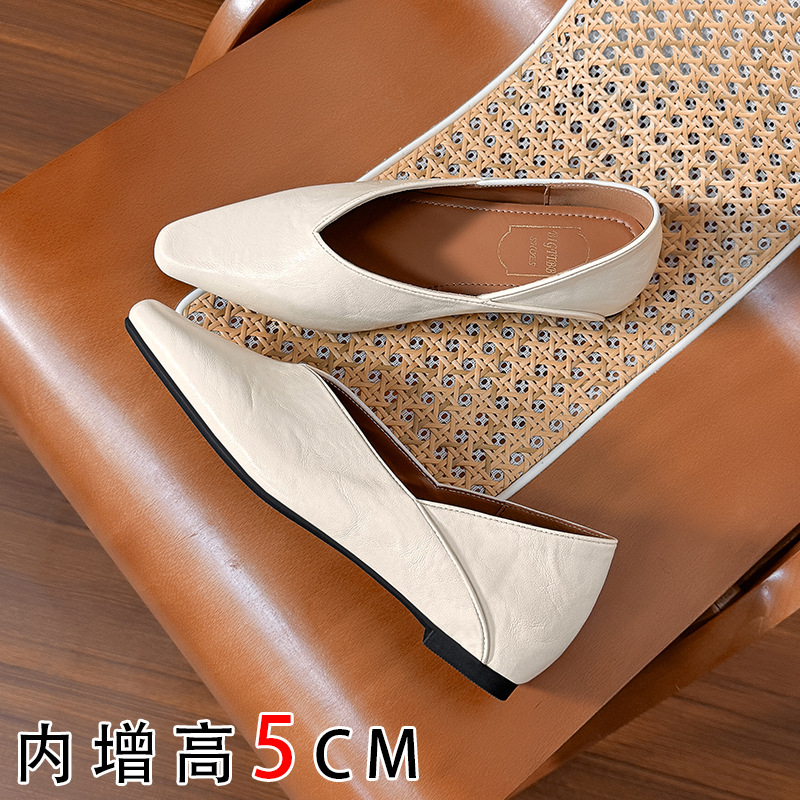 Inner Height-Increasing Mary Jane Women's Shoes 2026 New Spring and Autumn Small Square Toe Shallow Mouth Thick-Soled Single Shoes
