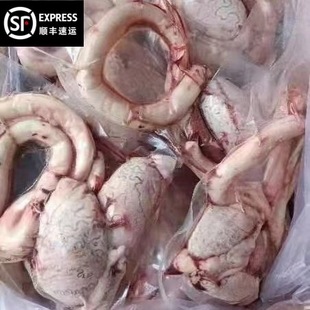 ���rţ��ţ���F���Sţ���rţ������ţ��ţ������rţ��ţغ�����l