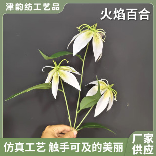 �zƬ����ٺϷ��滨��ͩ��Y�û�c���Ų廨���ߏS�����l�羳����