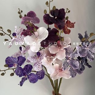 3�^�ָ��f���m������ ������ɫ�����m��c�Ҿ��b�ˇ�������廨