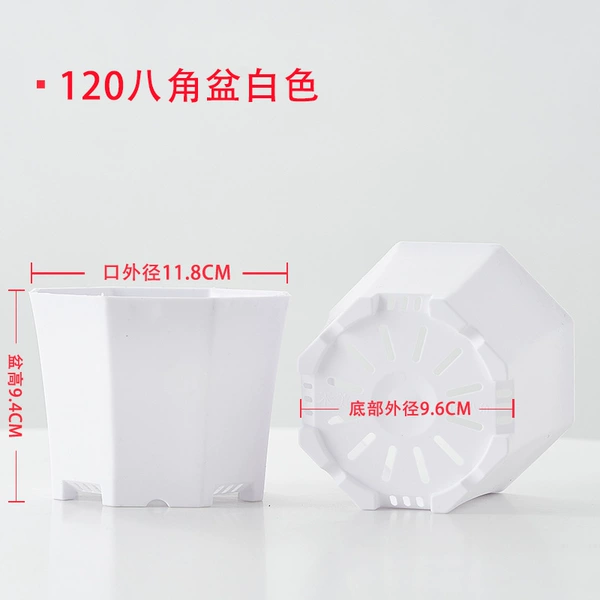 [120八角盆白色]