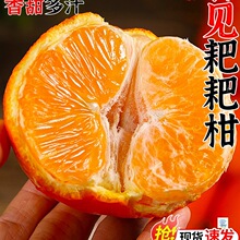 四川春见耙耙柑新鲜水果当季整箱正宗橘子丑柑橘粑粑柑桔大果包邮
