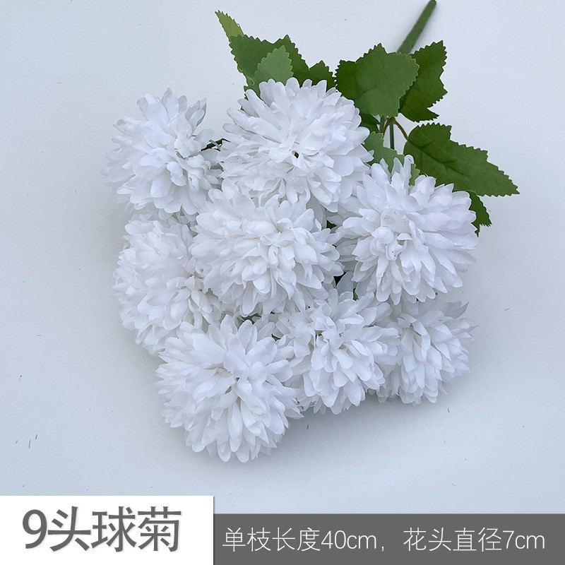 9 header chrysanthemum yul pure white