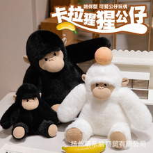 �¿�����ɹ��Ѓ�ͯ��������L�۽�����żë�q��߱���Ů���Y��