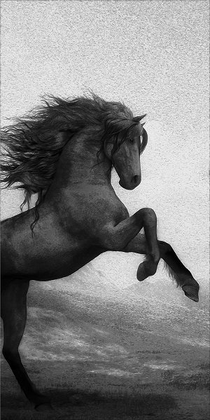 50322 Caballo de lujo ligero07