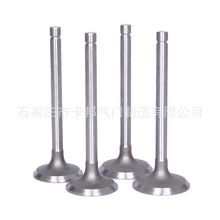 ����ֱ��A����.��ϵ�н������� valve  058109601C  058109611G