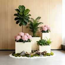 �����Fˇ�P䓻���M���̘I�֏V���L���ηNֲ������ۇ��ڻ���