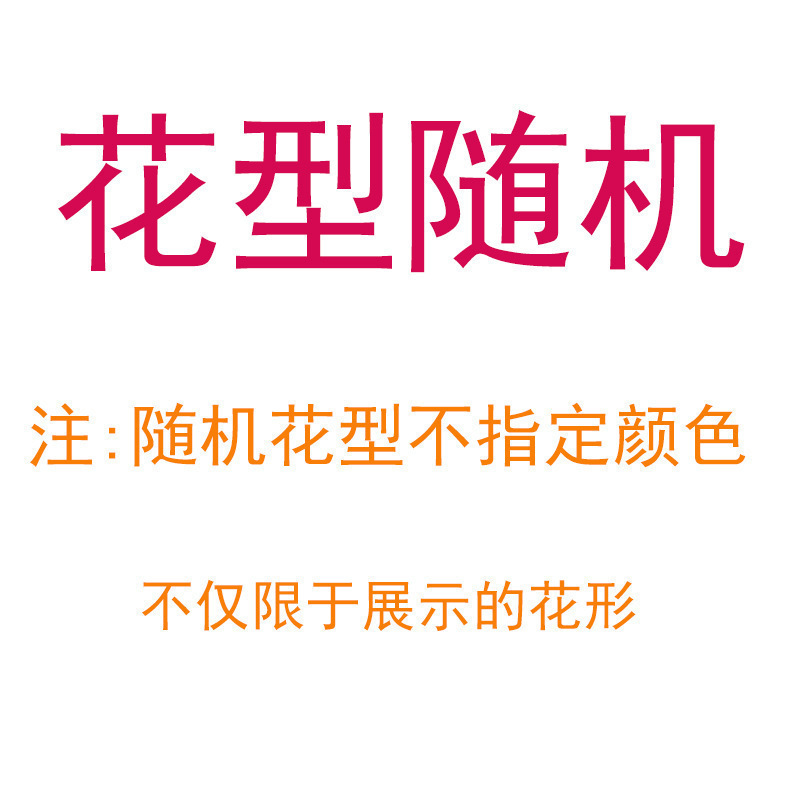무작위 패턴
