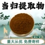 水溶性当归粉当归提取物