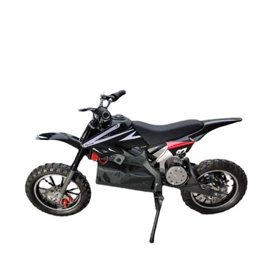 race motorcycle custom Leisure, Elektrikli motosikletlər