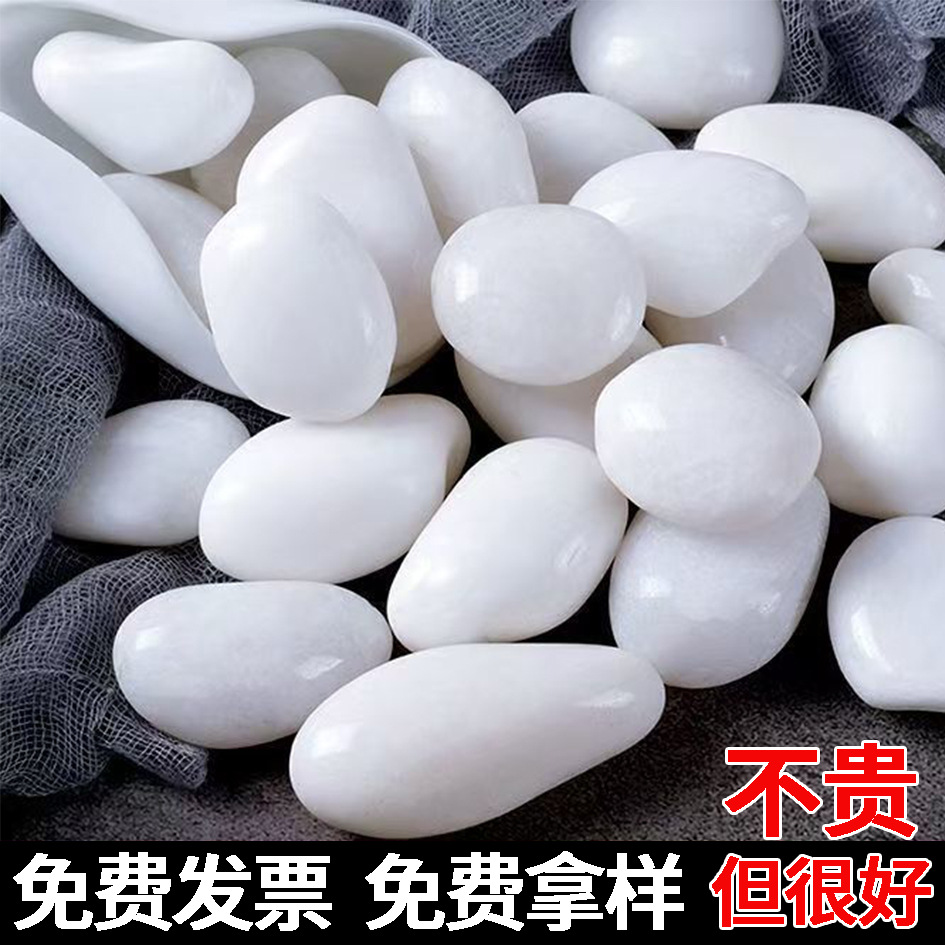 Natural white pebbles for fish tanks