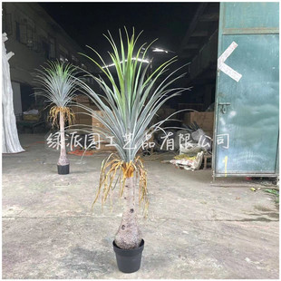 ���F�����Gֲ�����mľ���Լ�ֲ���辰�҃ȿ͏d����b��쾰