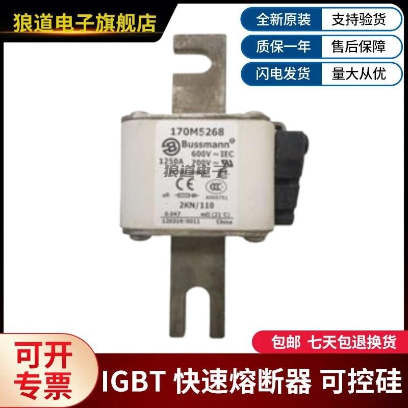 供应正品原装170M5266 170M5267 170M5268巴斯曼熔断器货源充足