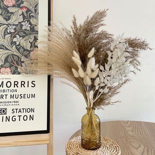 Amazon Hot Pp Reed Grass Small Reed Dried Flowers Rabbit Tail Grass Small Whisk Cross-border Supply bouquet Dried Flowers Wholesale
