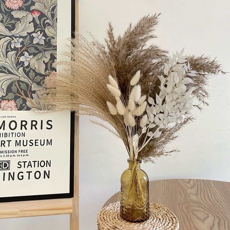 Amazon Hot Pop Reed Grass Маленький тростник Сушеные цветы Кроличий хвост Трава Маленькая кисть Трансграничные поставки букета Сухие цветы оптом