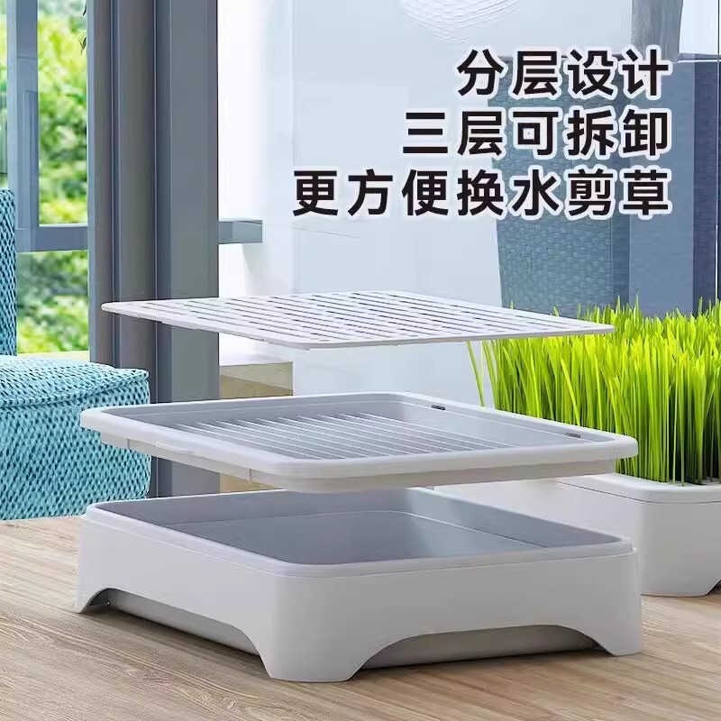 無土水培猫草鉢植え毛玉怠け者栽培猫草種子育苗盤化毛草ペット用品|undefined