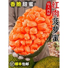 ӡ��t�Ⲥ�}�����rˮ������һ���������t�Ĳ��_����S���]