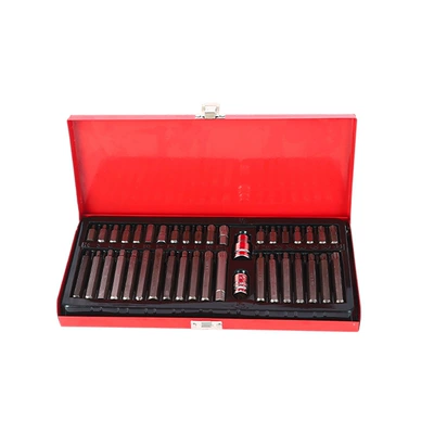 Mühərrik tənzimləmə alətləri – Star Bit Set with Twelve-Pointed