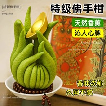 云南佛手柑特大鲜果天然香薰供闻香观赏摆件室内盆栽香橼佛手果