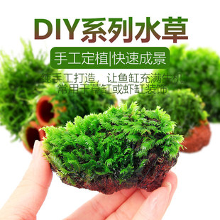 �~���쾰ˮ��ϵ����׳ɾ���ɽʯ���ֳ�ľ��ֲĪ˹�G��moss��ˮ��