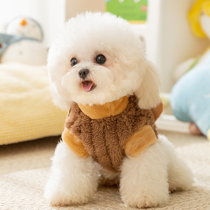 Otoño y invierno perros coreanos orejas tridimensionales osos dos patas cálidas camisas de terciopelo gato invierno peluche ropa de perro