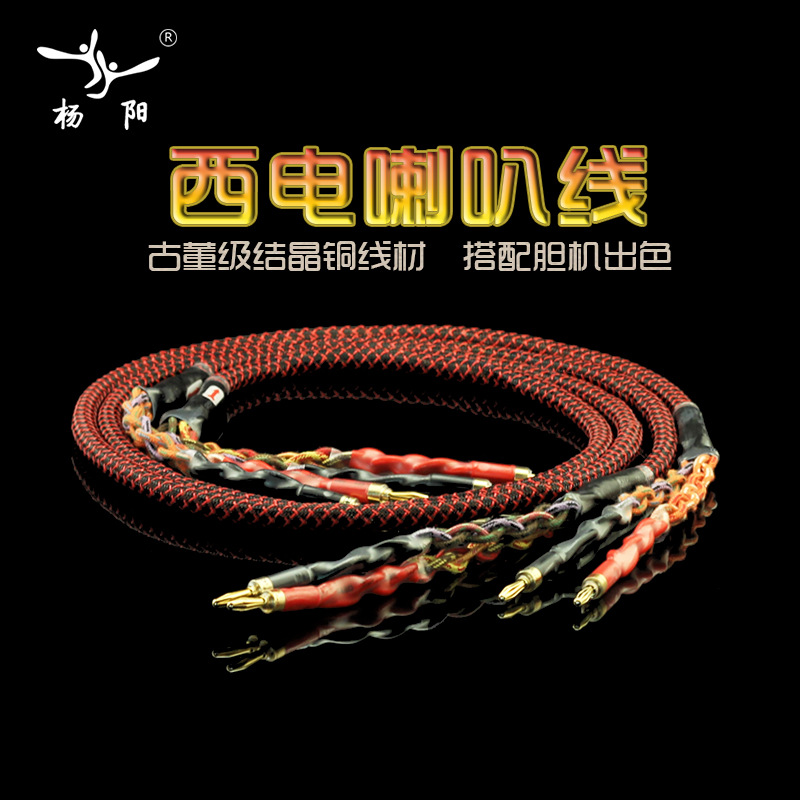 U.S. Xidian Imported Horn Line Fever Speaker Line Professional hifi Pure Copper Audio Line Banana Head Y Pin Insert