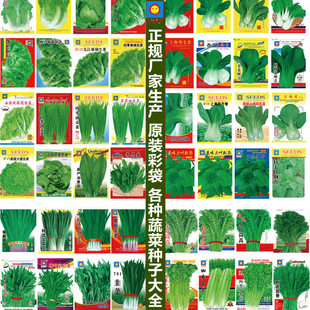 �߲˷N�Ӳ������l�߲˹Ϲ����l���ǰײ˲ʴ����b�N���}�����яS��