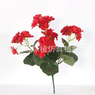 �羳���� ���溣�Ļ��ٻ��Ҿӿ͏d���ÿ��z���������l