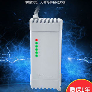 電動車電瓶車充電器智能自動斷電三輪車通用防鼓脈沖修復48v60v72