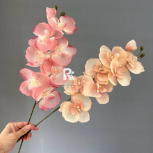 Ī�m��ɫ8�^�����m���滨��c�͏d�ٻ��[�O��Y���Ų廨��ˇ�b�