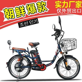 电动自行车;其他电动车;锂电池