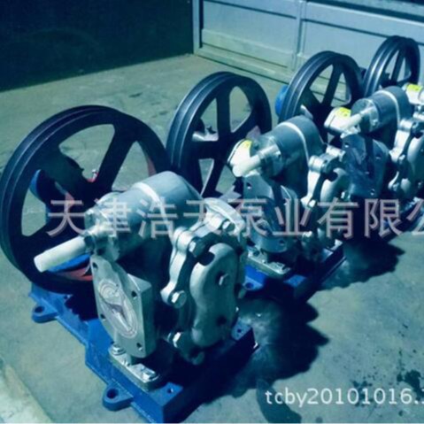 不锈钢皮带齿轮泵BP200 外桥齿轮泵 内桥齿轮泵 低速齿轮泵