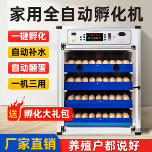 Incubator Small and Medium Household Incubator Rutin Chicken Chick Automatic Incubator Intelligent Egg Incubator
