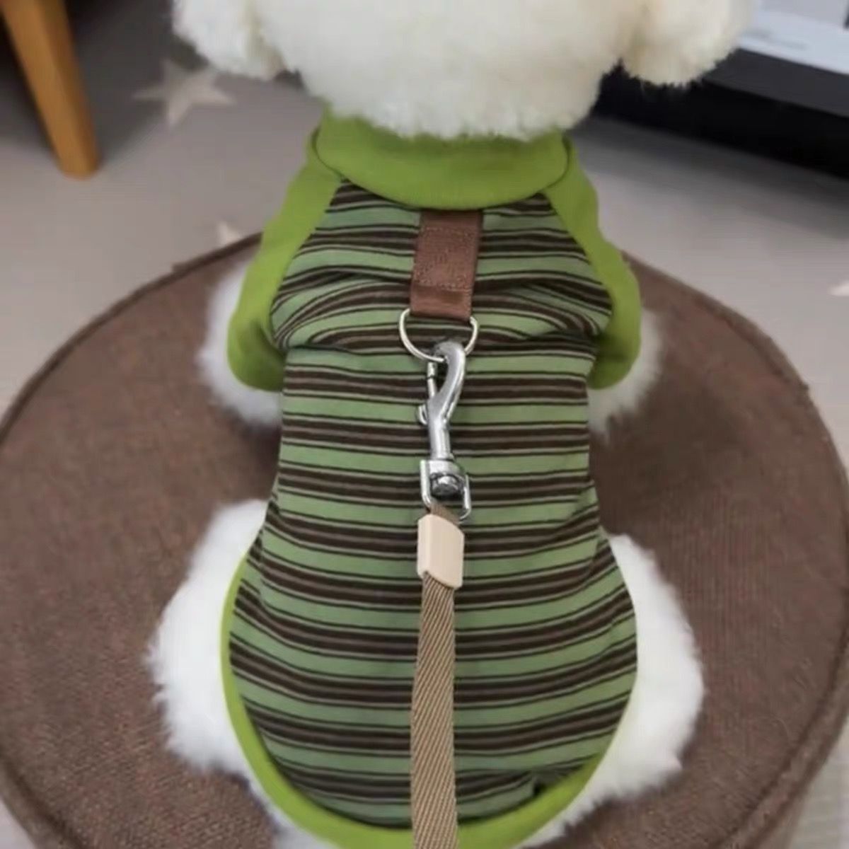 Gatos otoño invierno ropa accesorios rayas mascotas perros pequeños peleas de peluche que osos suministros de camiseta de base universal transfronterizos