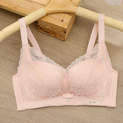夏の通気性の薄いタイプのブラジャーは、スチールリングのない少女のパンチカップのブラジャーのレースの下着工場を集めて出荷します。